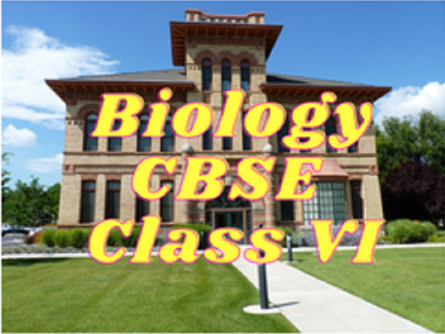 Biology (CBSE) - Class VI